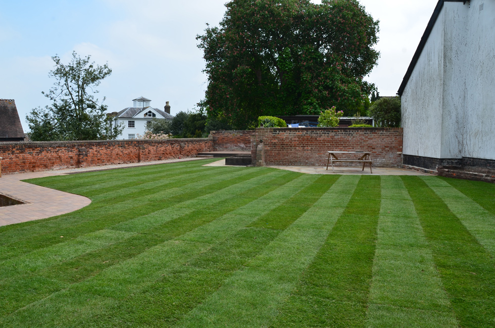 Lawn Renovation Services in Utah