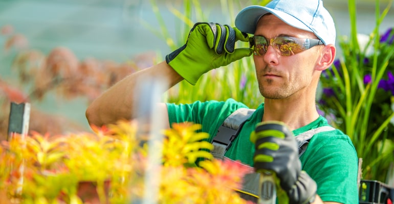 lawn-blog-3 lawn-blog-3