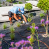 Landscaping Renovation Services in Utah