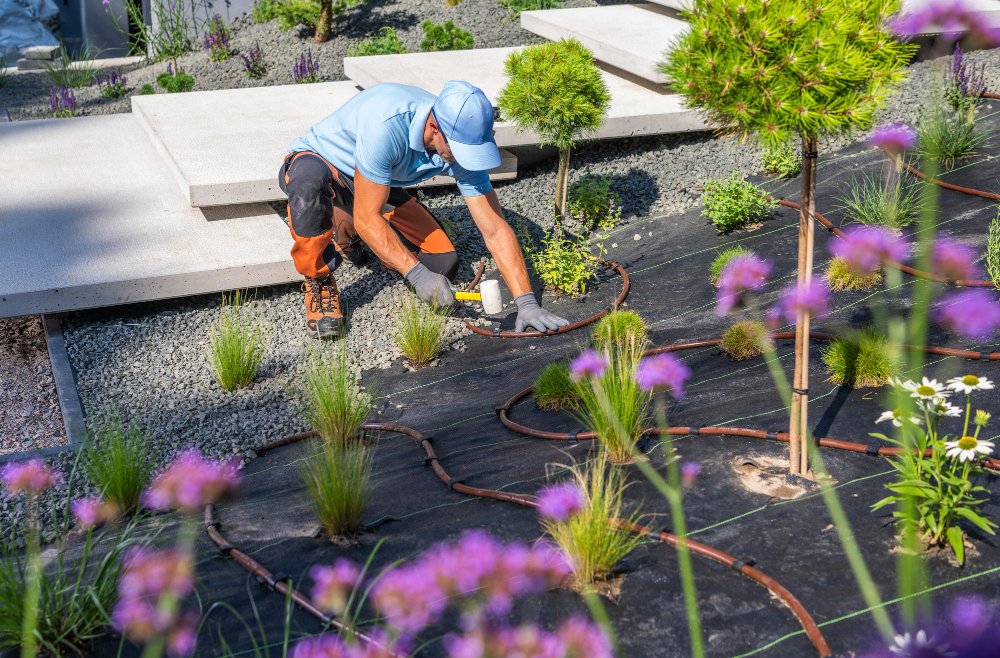 Landscaping Renovation Services in Utah