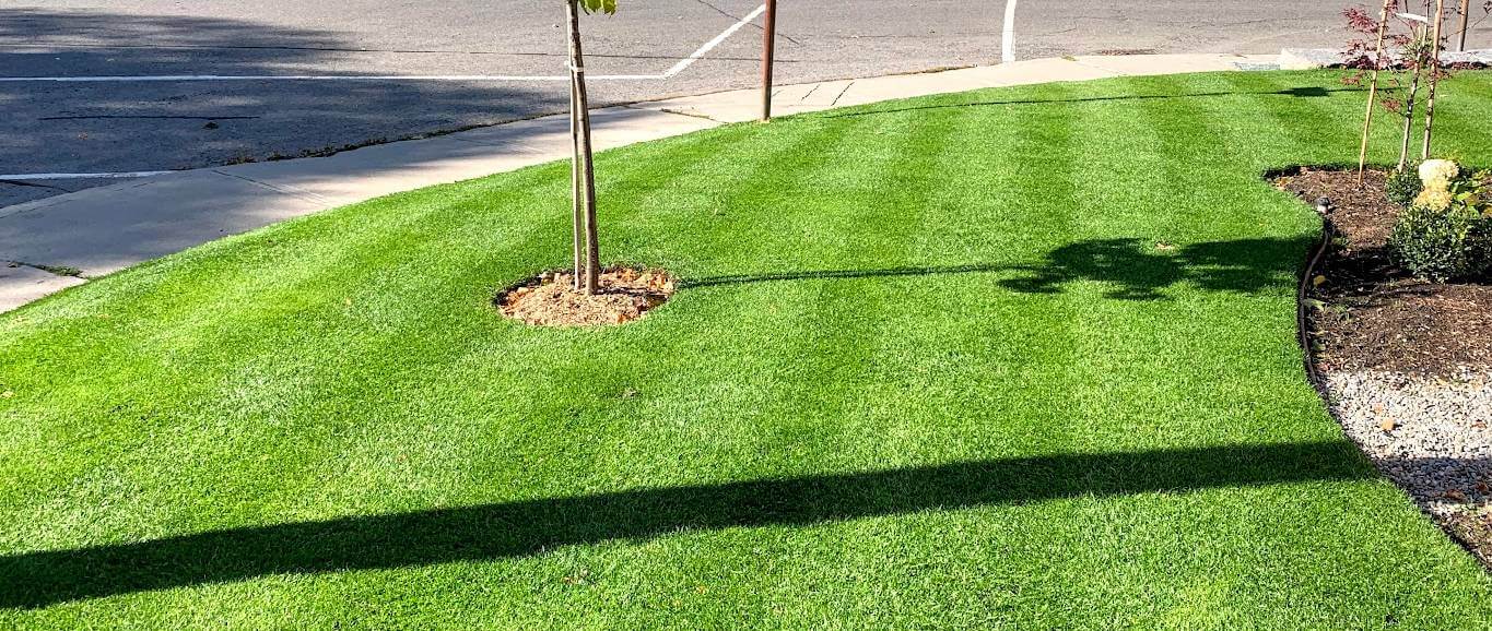 Lawn Seeding and Overseeding Services in Utah
