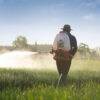 Pesticide Application Services in Utah