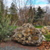 Rock Scaping Services in Utah