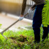Weed Removal Services in Utah